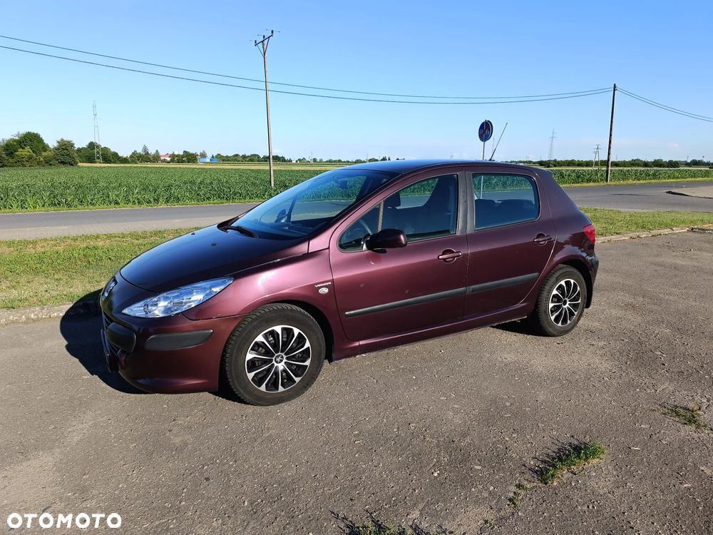 Peugeot 307 1.6 Trendy - 1