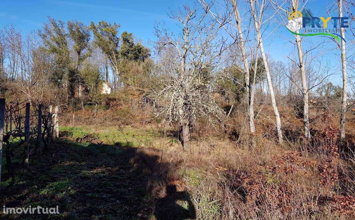 Quinta situada em Pedrógão Pequeno - Grande imagem: 2/60