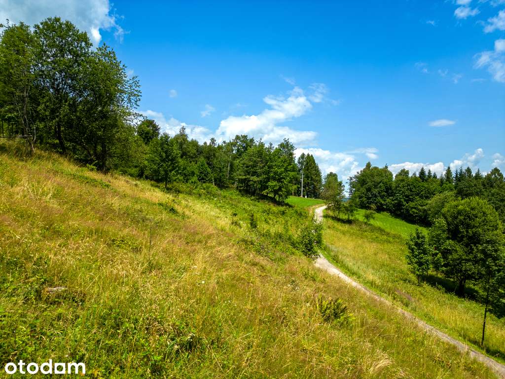 Działka rekreacyjna przy lesie, 3571 m2, cisza! - Pełny obrazek: 3/9