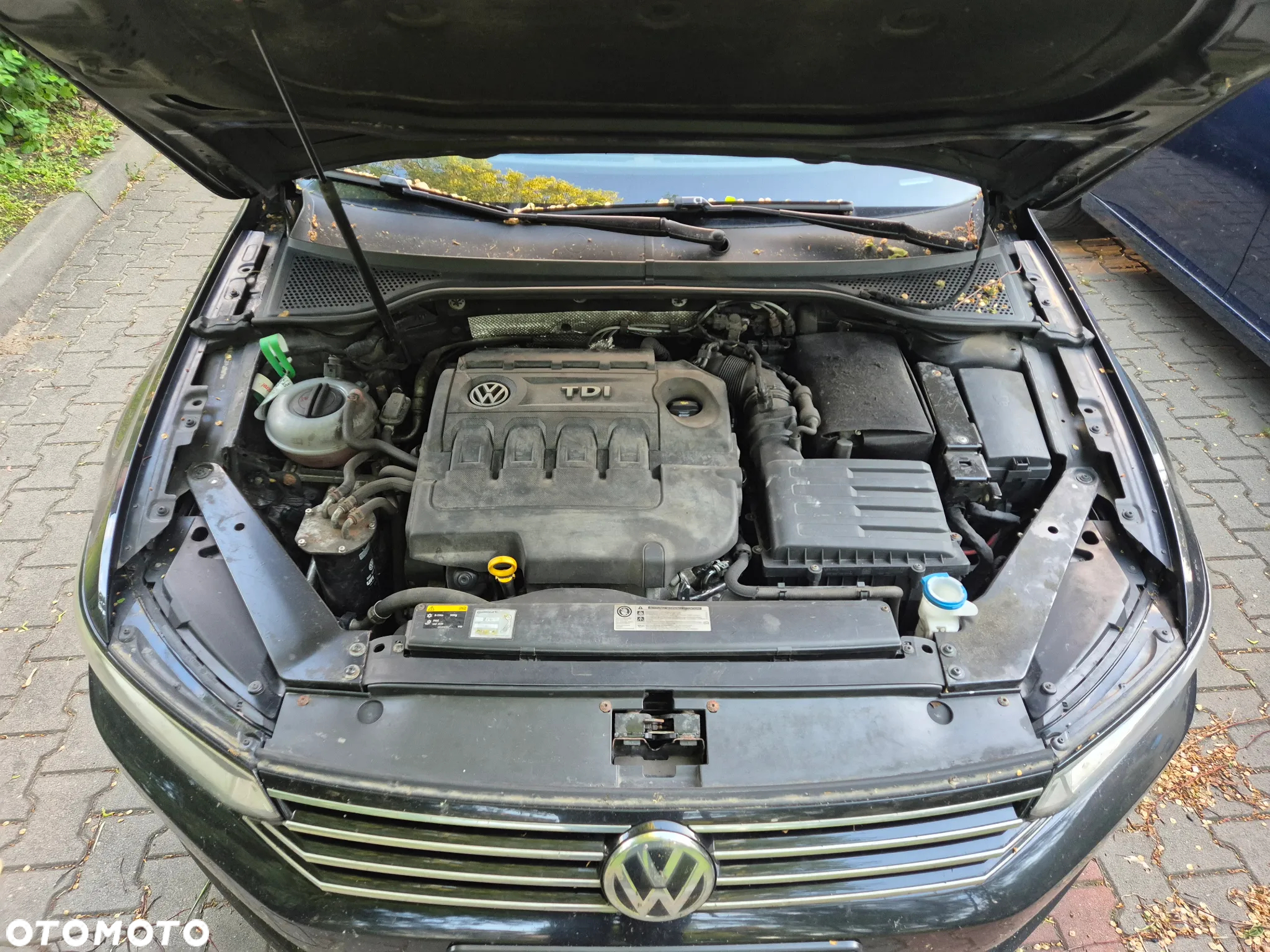 Volkswagen Passat - 9