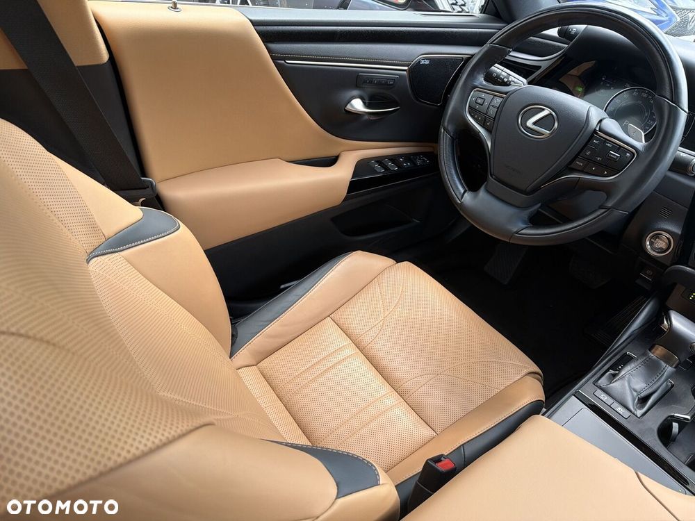 Lexus ES 300h Prestige - 14