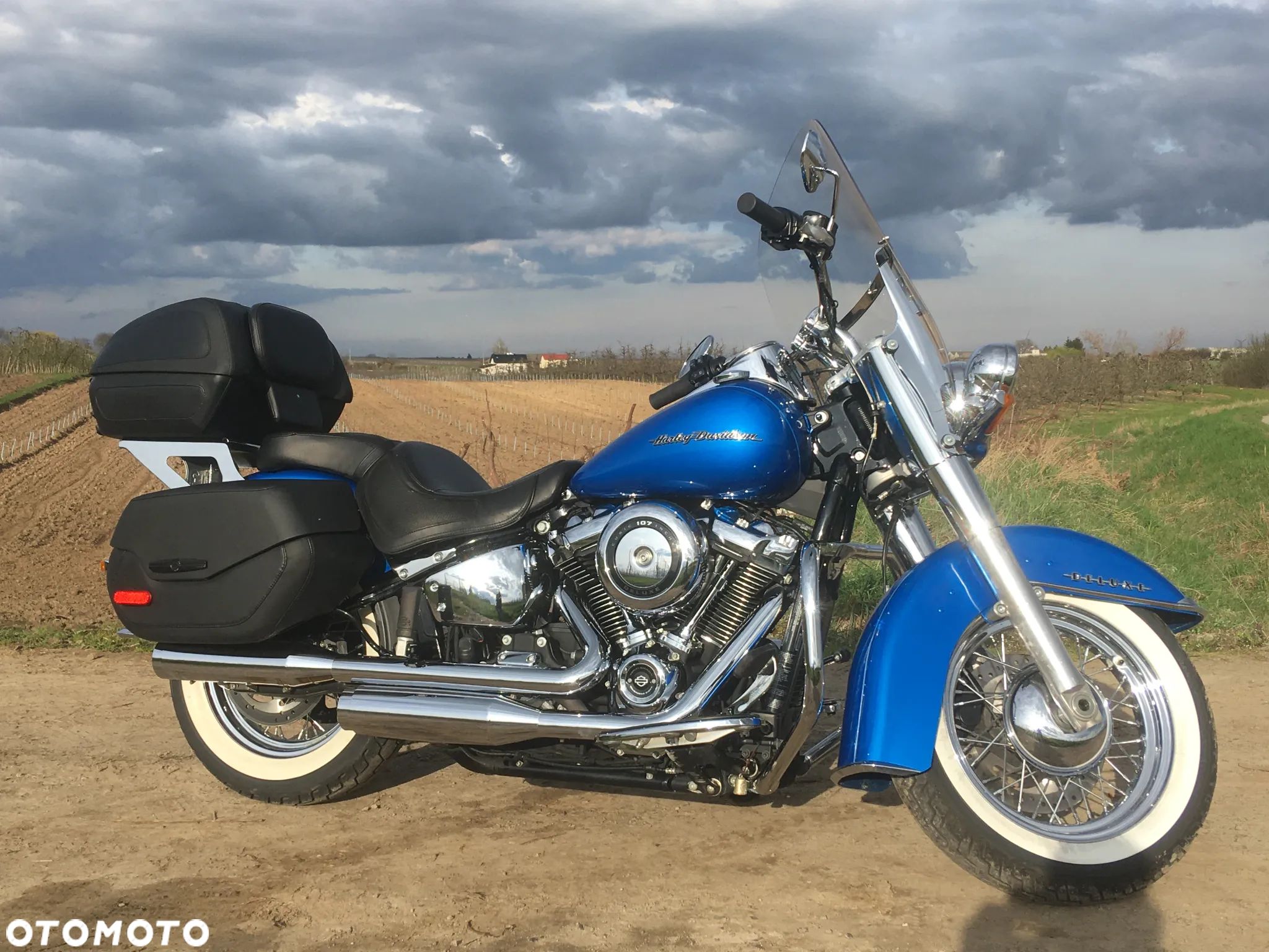 Harley-Davidson Softail Deluxe - 1