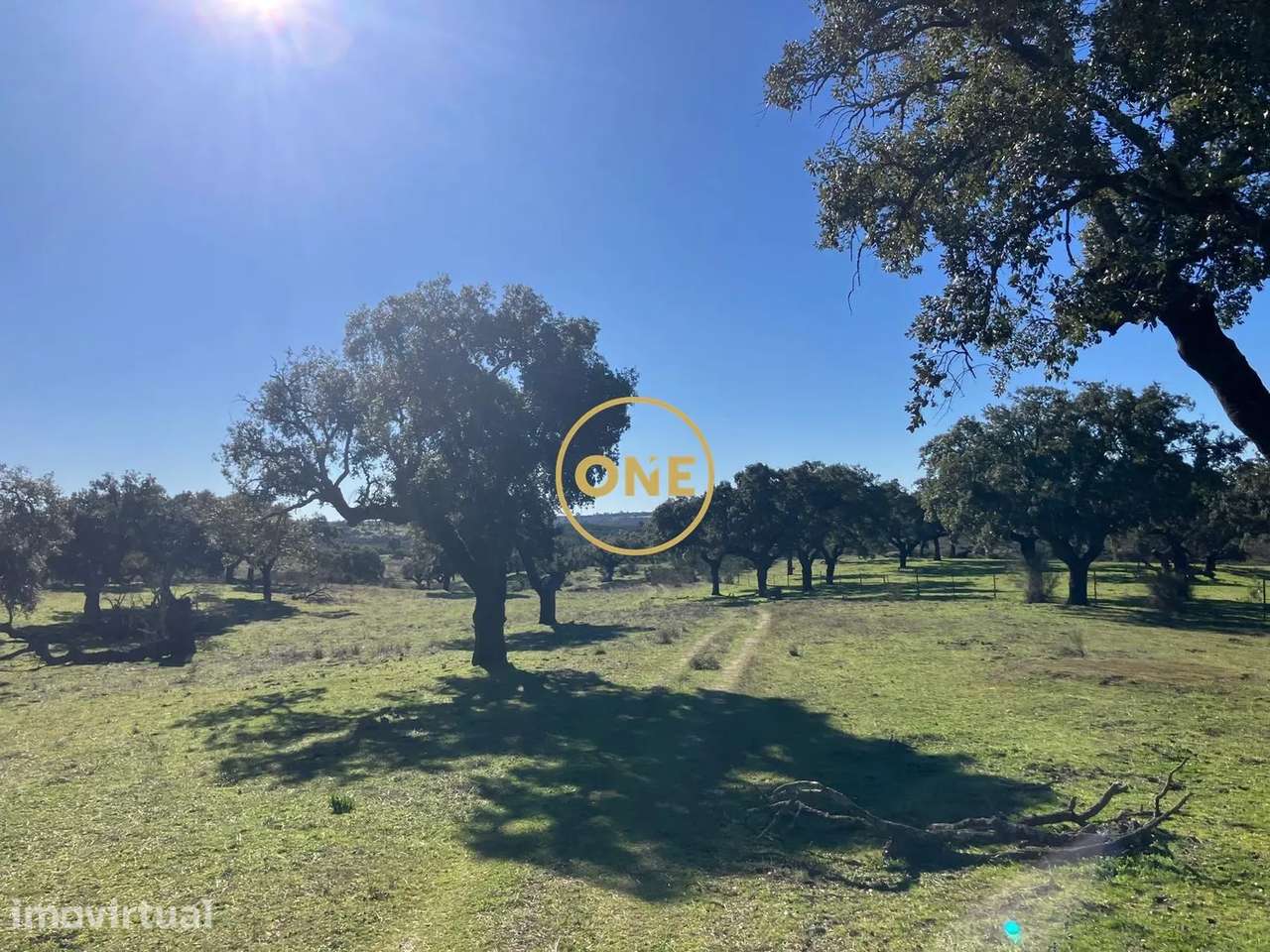 Herdade com 250,125 ha, junto á EN nº359, concelho de Nisa - Grande imagem: 3/6