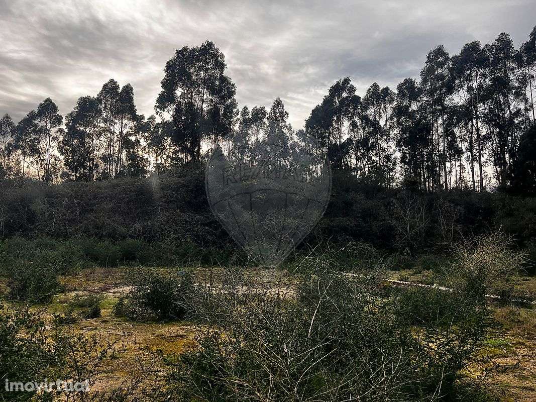 Terreno  para venda - Grande imagem: 2/10