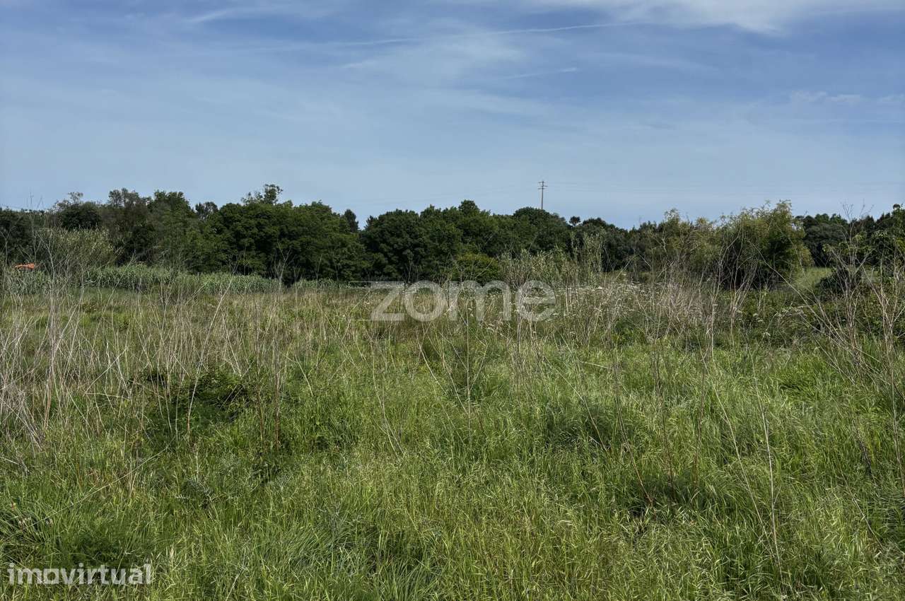 Terreno, 2 895 m², Alhadas - Grande imagem: 5/17