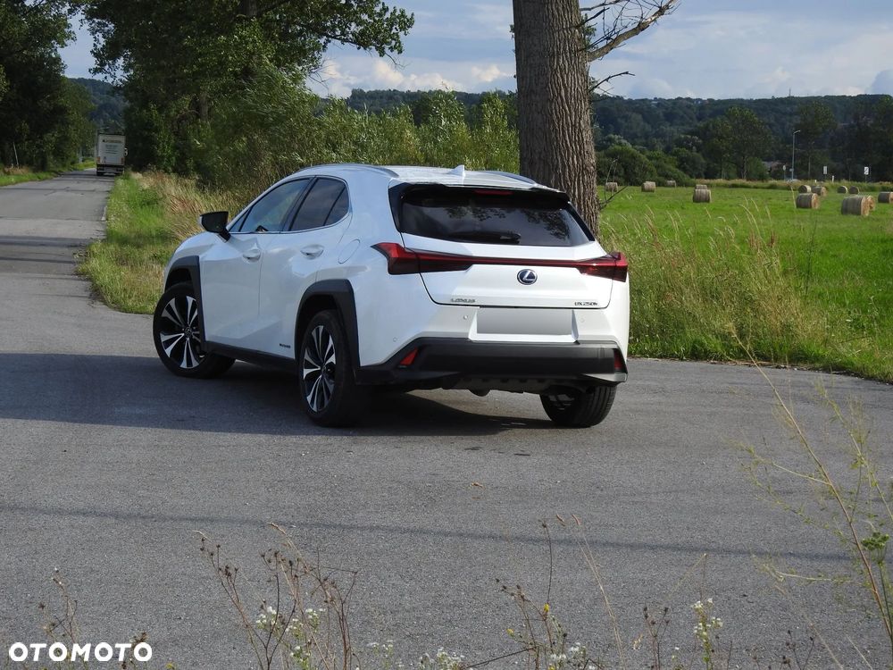 Lexus UX 250h Prestige 2WD - 13