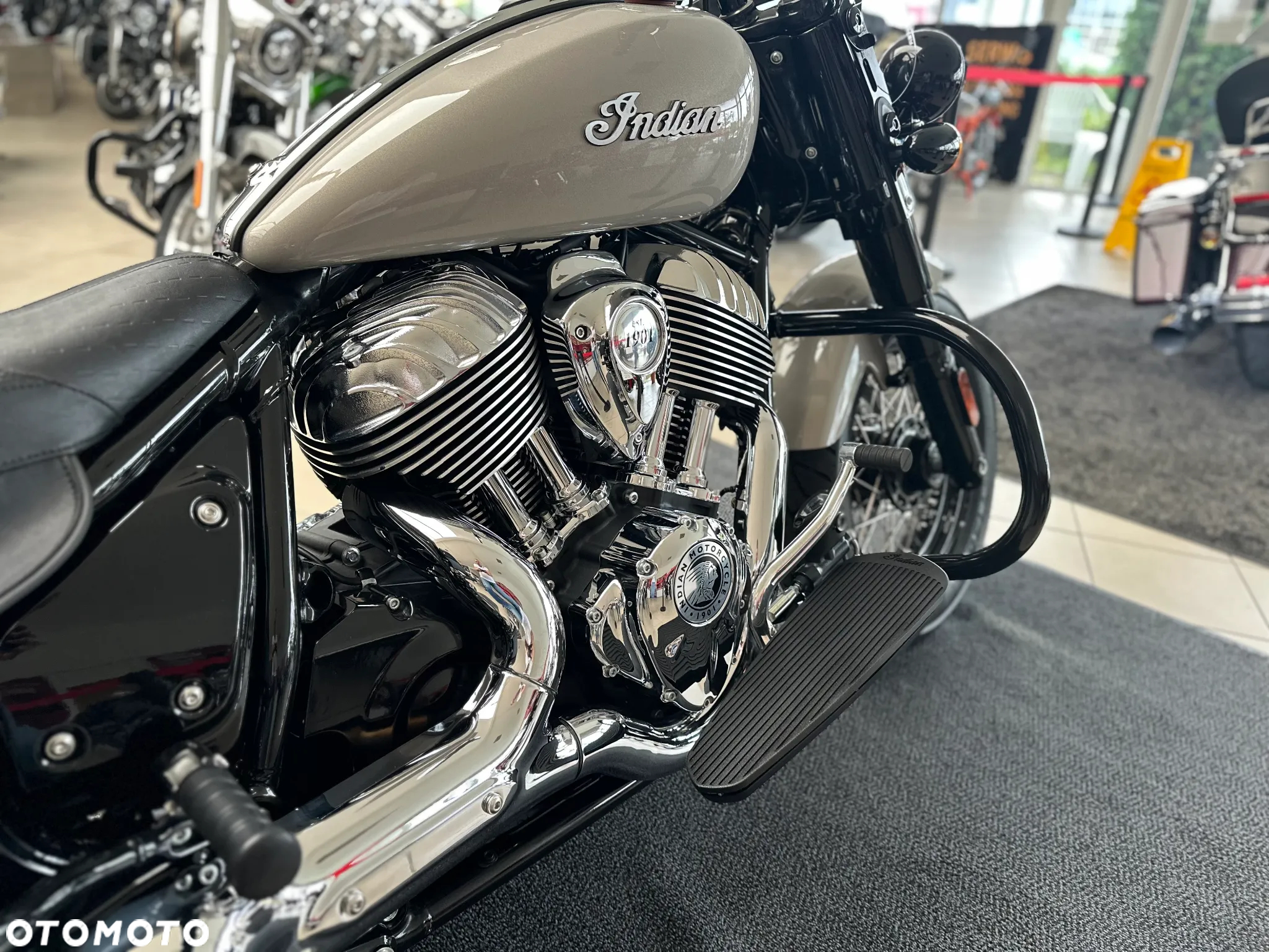 Indian Chief - 23
