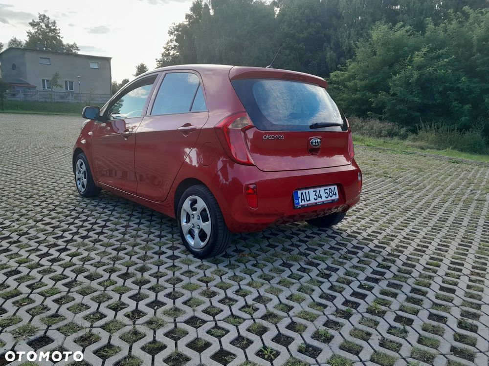 Kia Picanto 1.0 Business Line Plus - 5