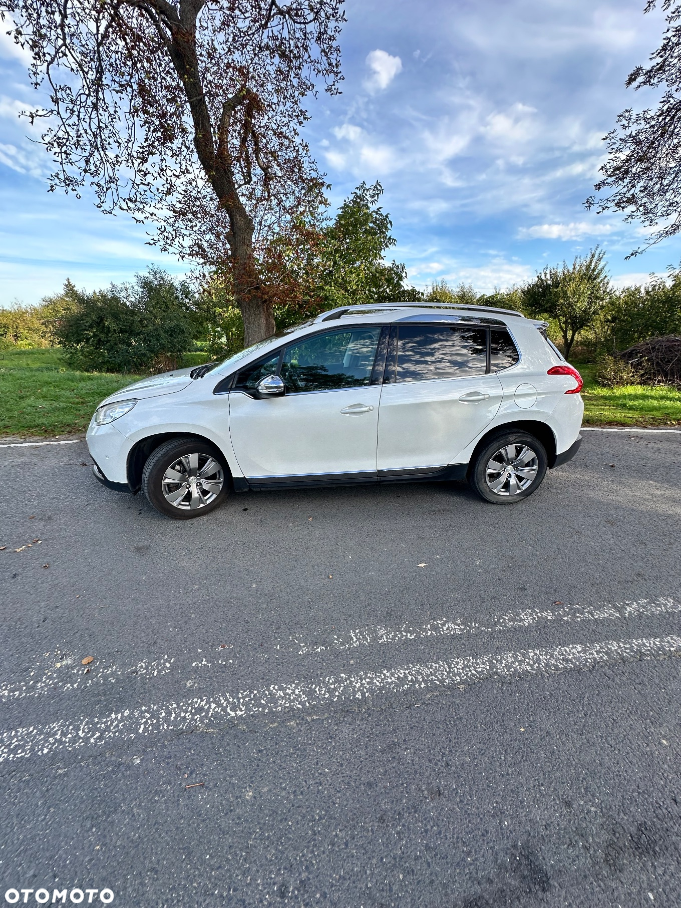 Peugeot 2008 1.6 e-HDi Allure S&S - 5