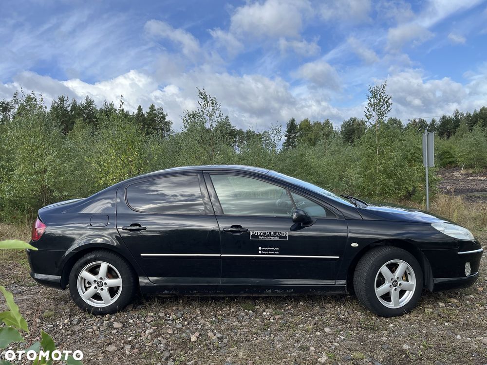 Peugeot 407 - 5