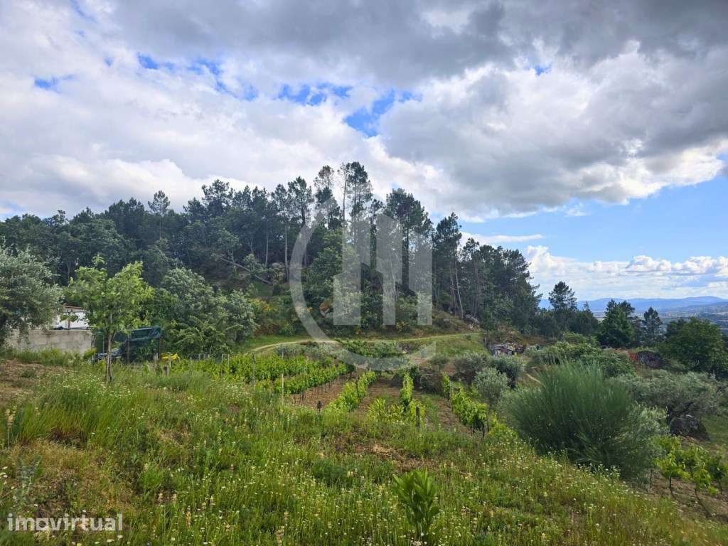 Quinta com casa rural geminada - Grande imagem: 5/10