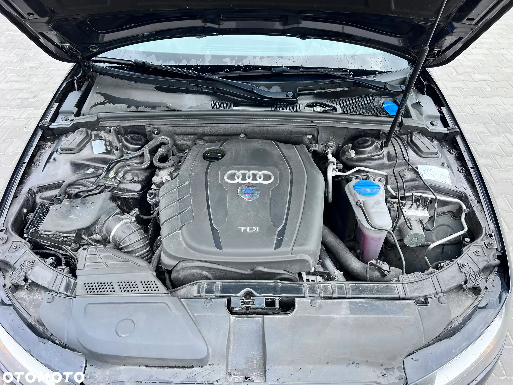 Audi A4 - 19