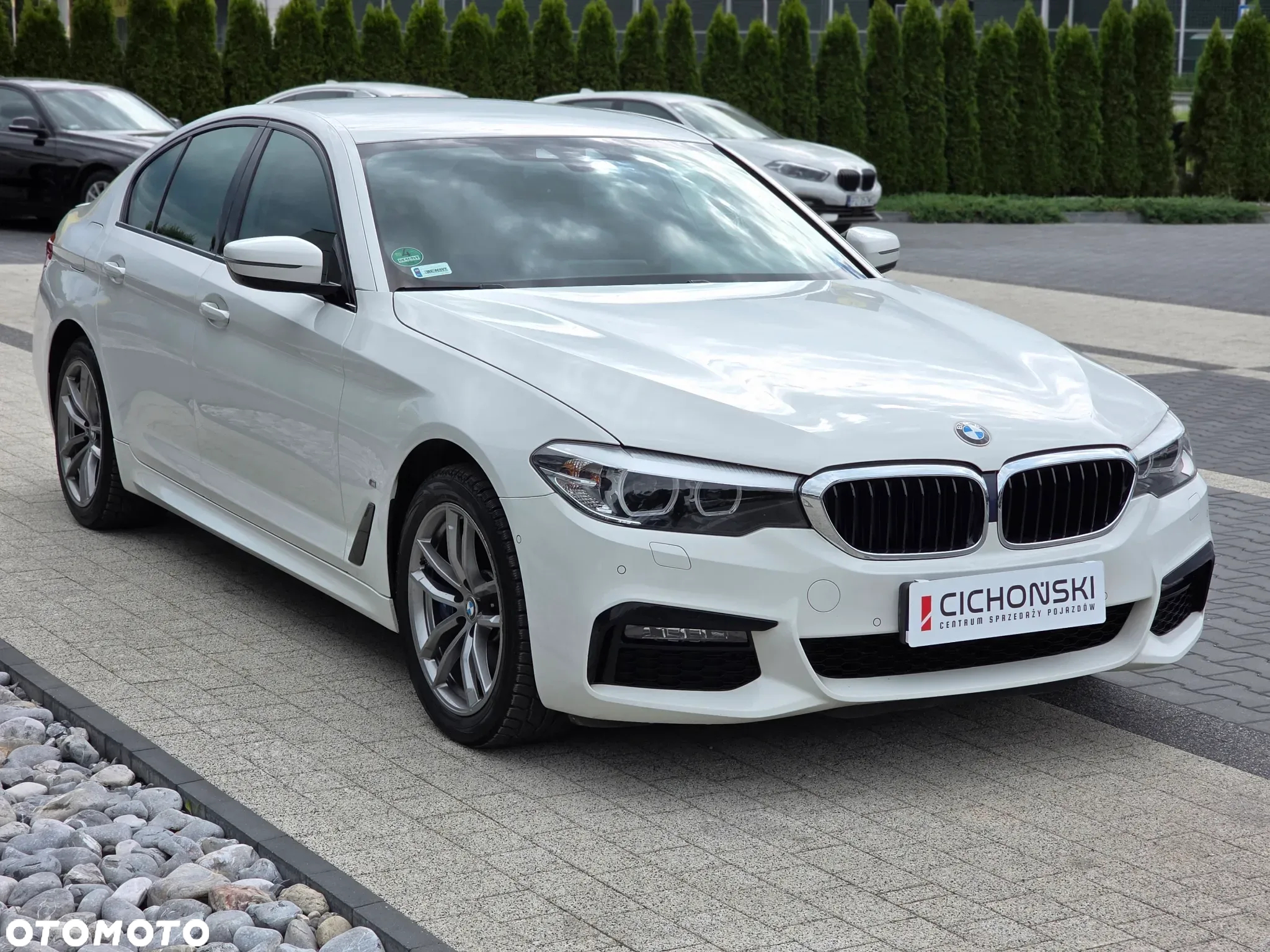 BMW Seria 5 - 3