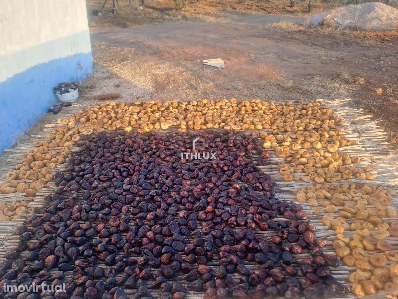 Terreno com ruina - Grande imagem: 4/11