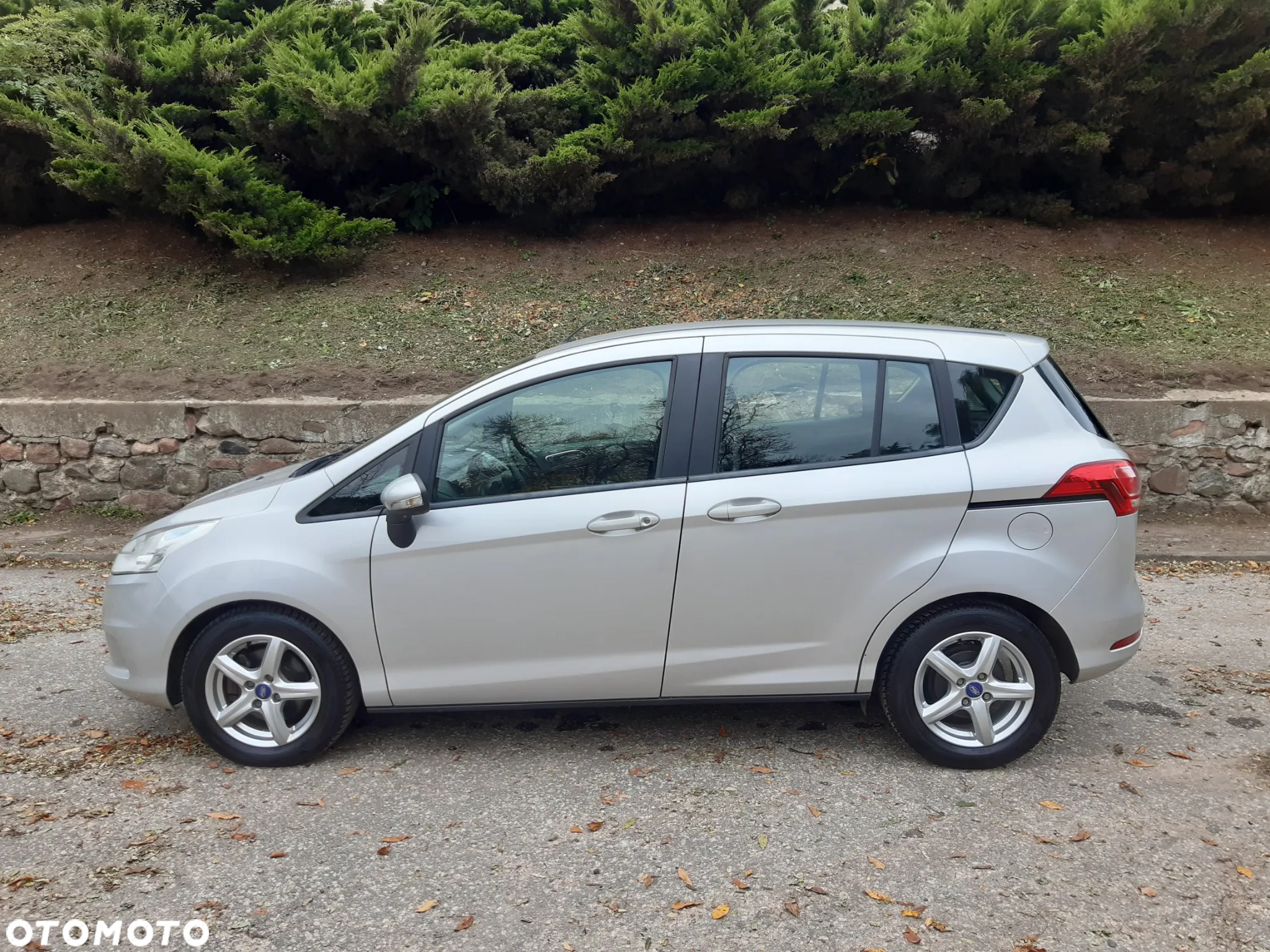 Ford B-MAX 1.0 EcoBoost Individual - 9