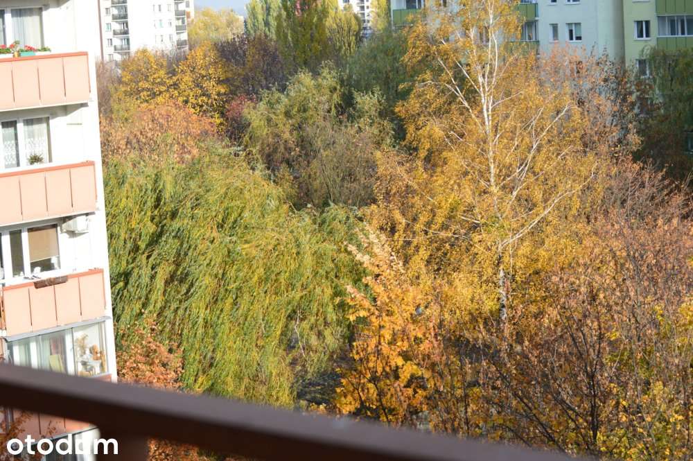 Mieszkanie 2-pokojowe z kuchnią na Mokotowie
