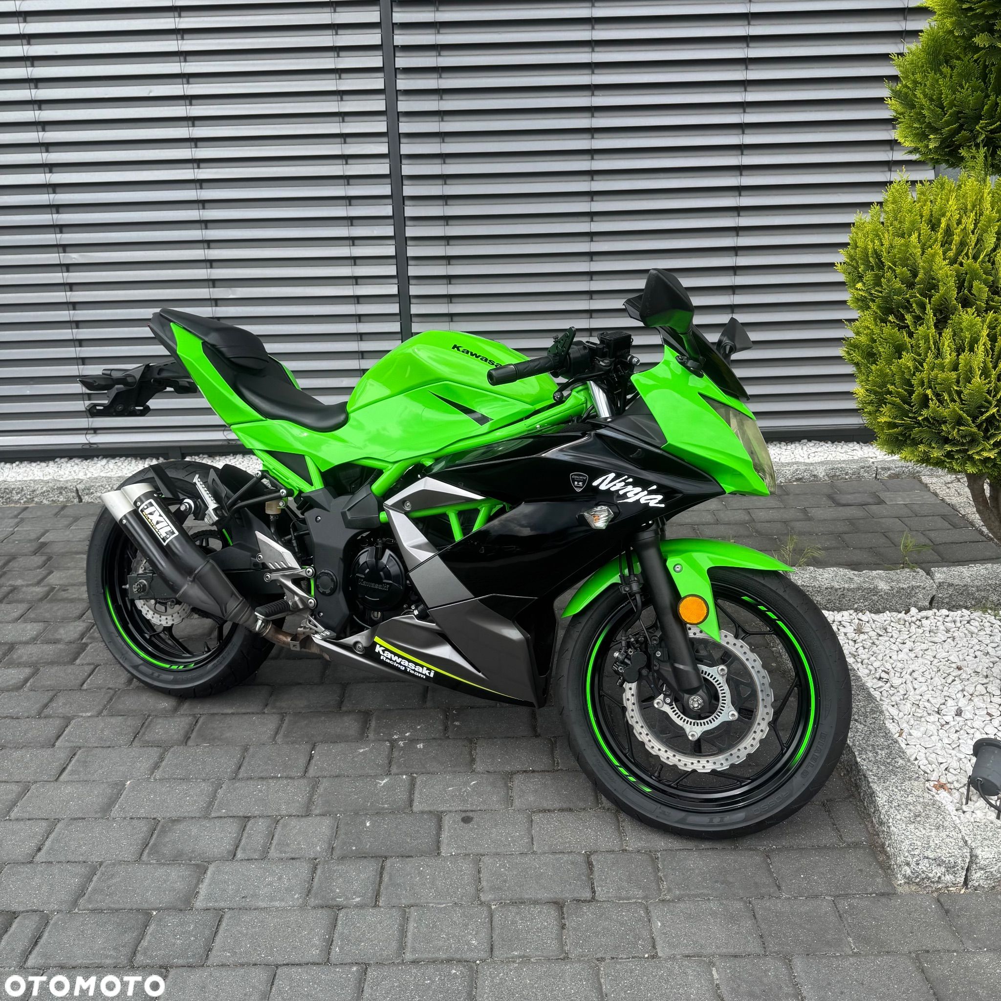 Kawasaki Ninja - 1