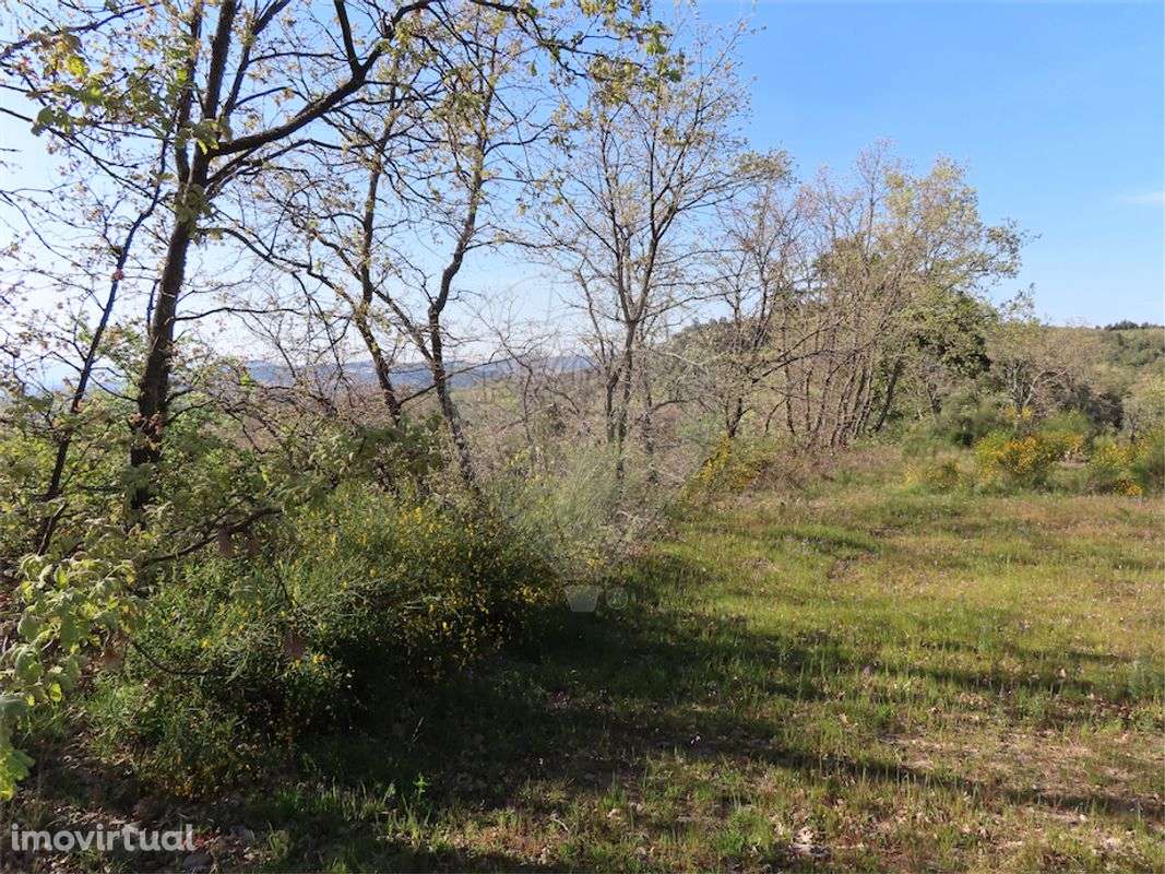 Quinta  para venda - Grande imagem: 3/22