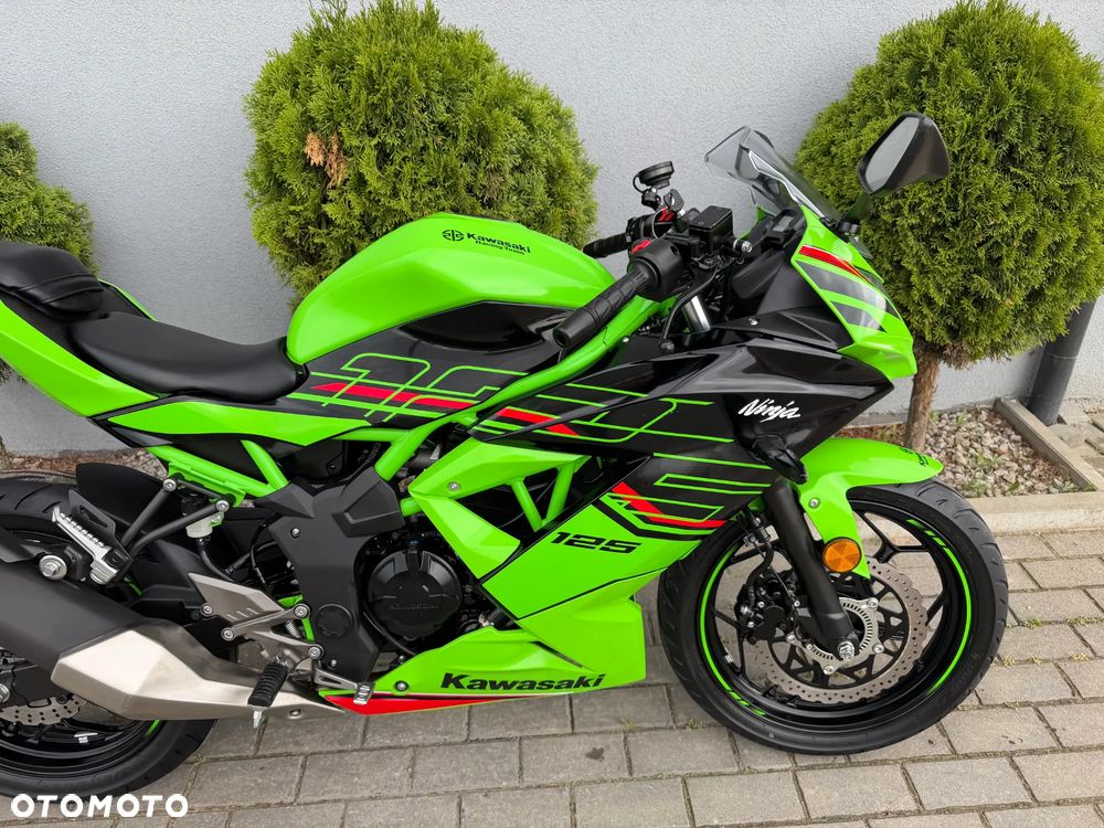 Kawasaki Ninja - 10