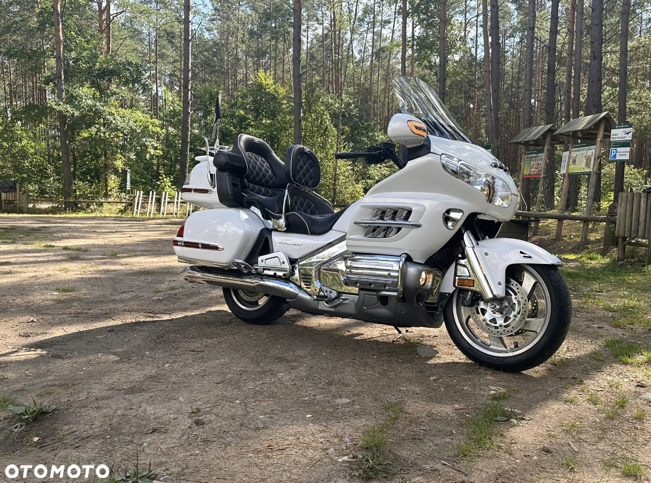 Honda GL - 6