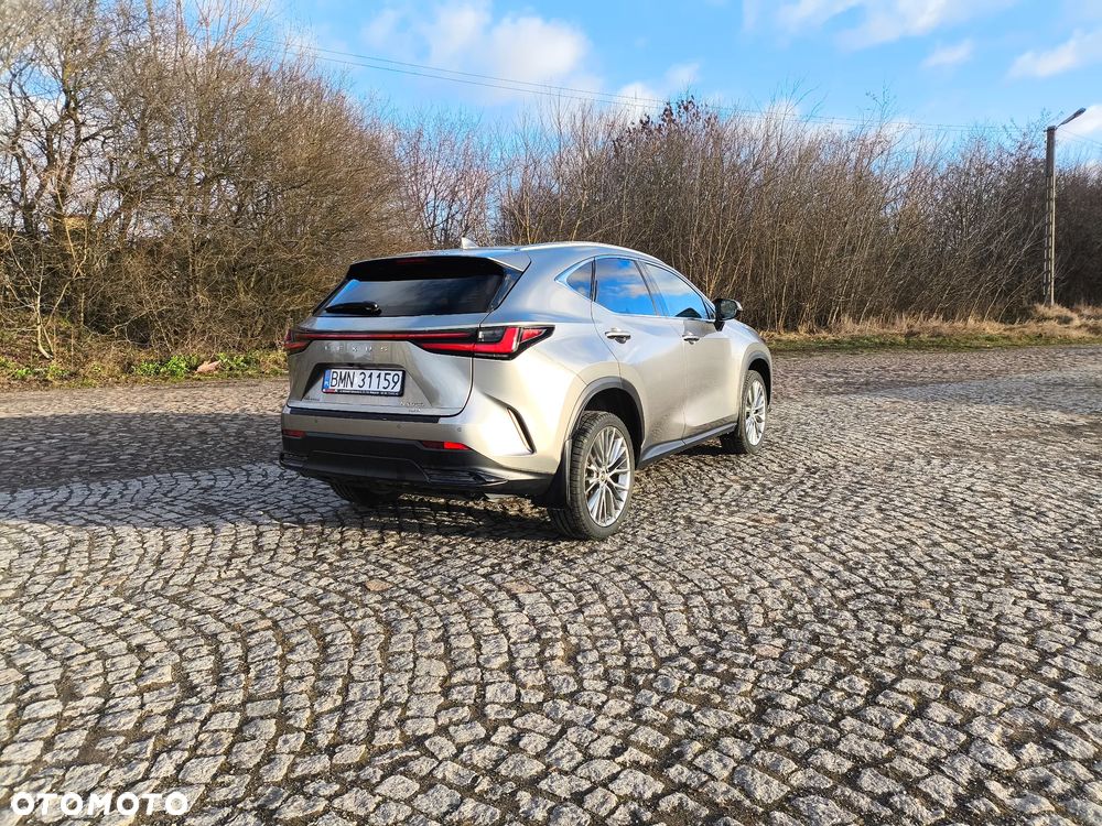 Lexus NX - 15