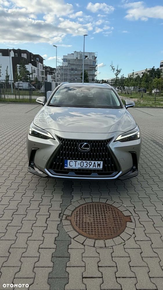 Lexus NX 350h Business AWD - 2