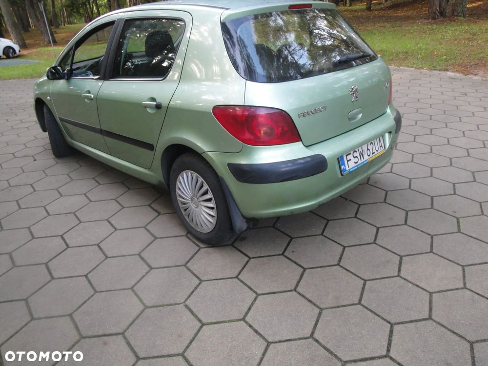 Peugeot 307 1.6 XS Class - 6