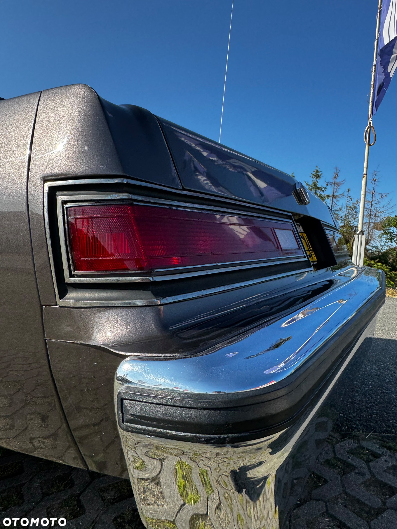 Plymouth Gran Fury Salon - 3