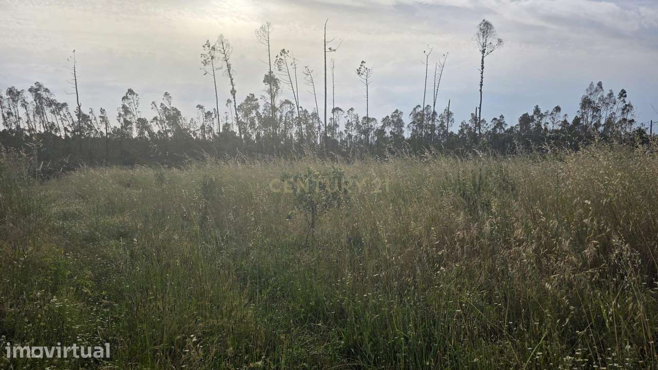 Terreno Industrial com Grande Potencial em Garcia, Marinha Grande | 8 - Grande imagem: 2/15
