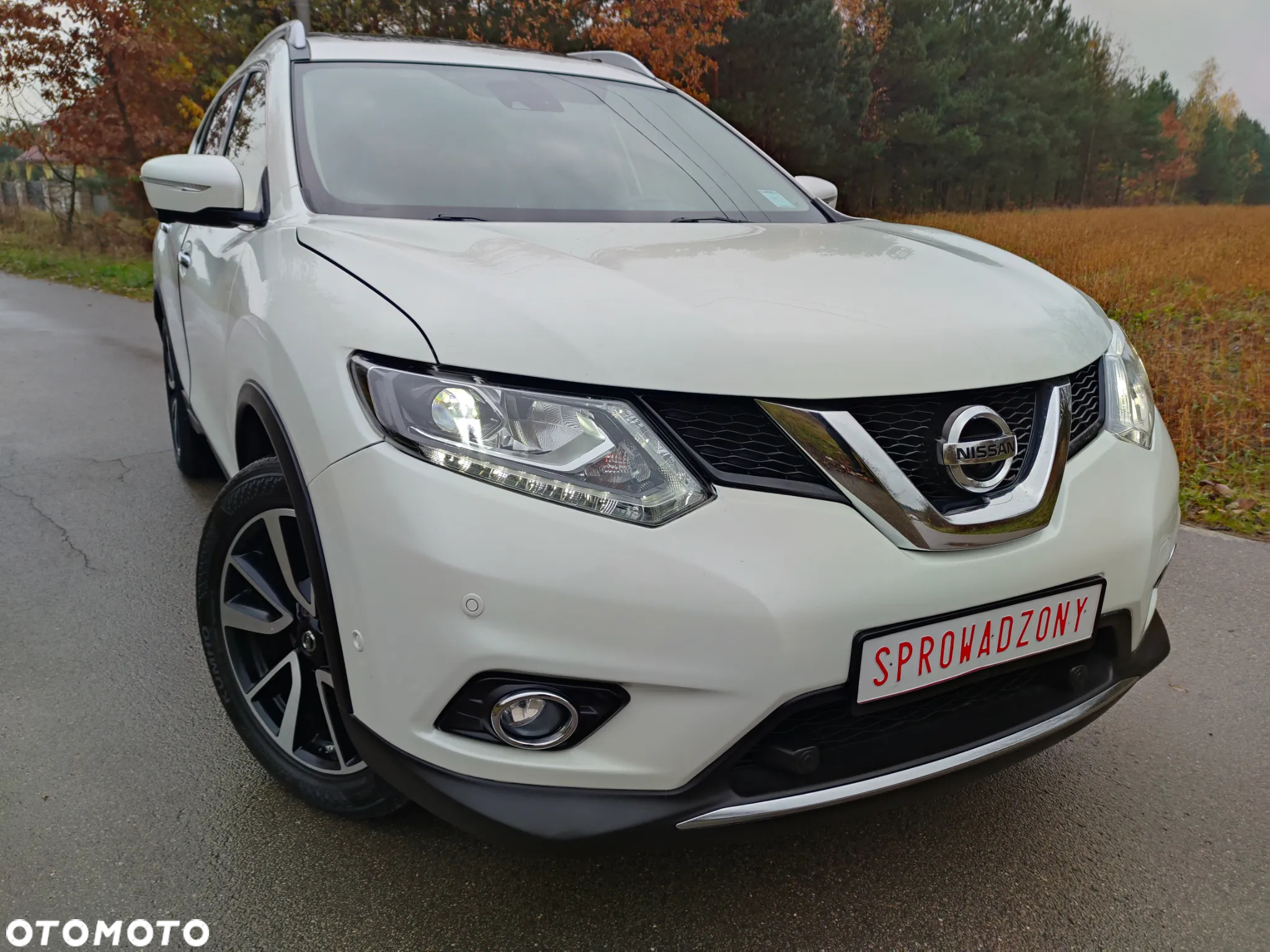 Nissan X-Trail 1.6 DCi Tekna 2WD Xtronic 7os - 19