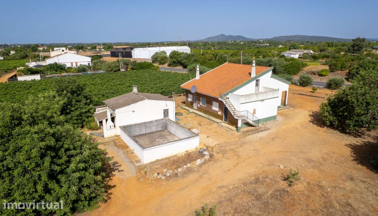 Espetacular Quinta vinícola, à venda em Tavira, Algarve - Grande imagem: 2/6