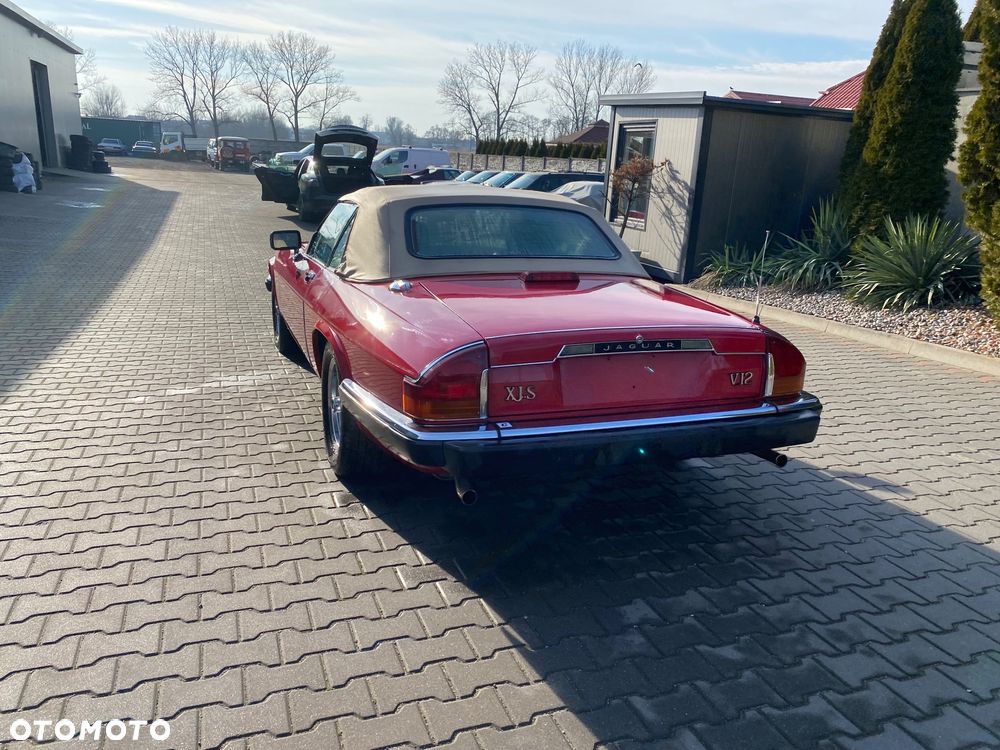Jaguar XJS - 8