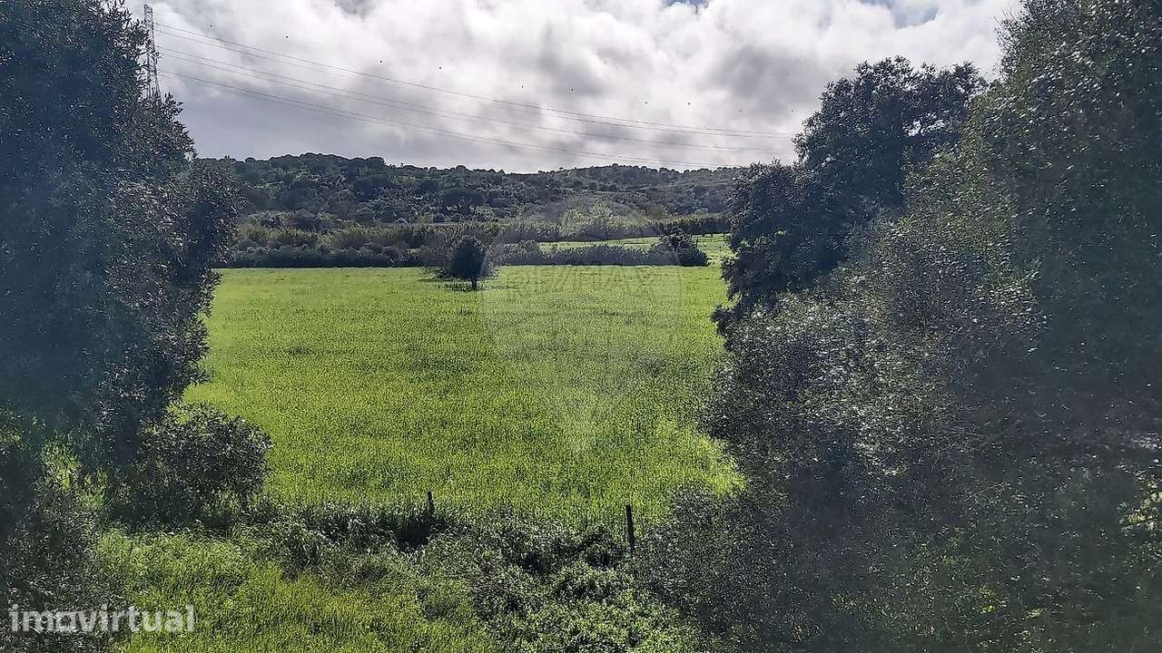 Terreno  para venda - Grande imagem: 3/7