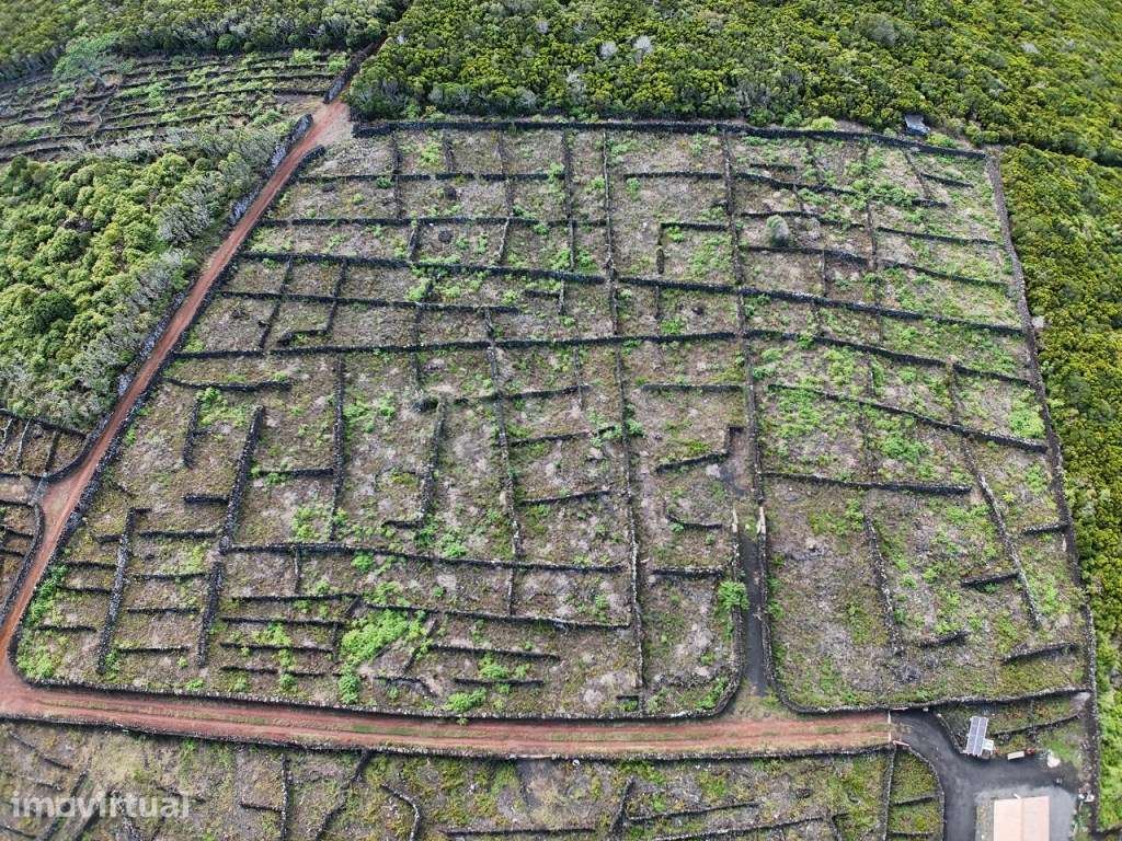 Terreno com 5.015 m², viabilidade de construção e vista mar - Canad... - Grande imagem: 4/14