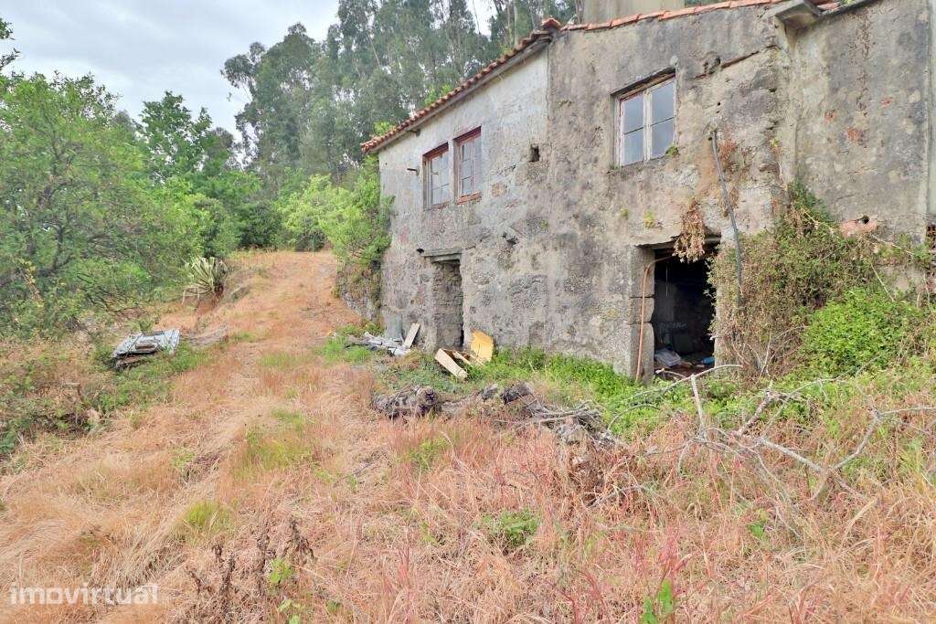 Duas Moradias em Escudeiros c/ aprox. 3.200m2 de terreno - Grande imagem: 2/37