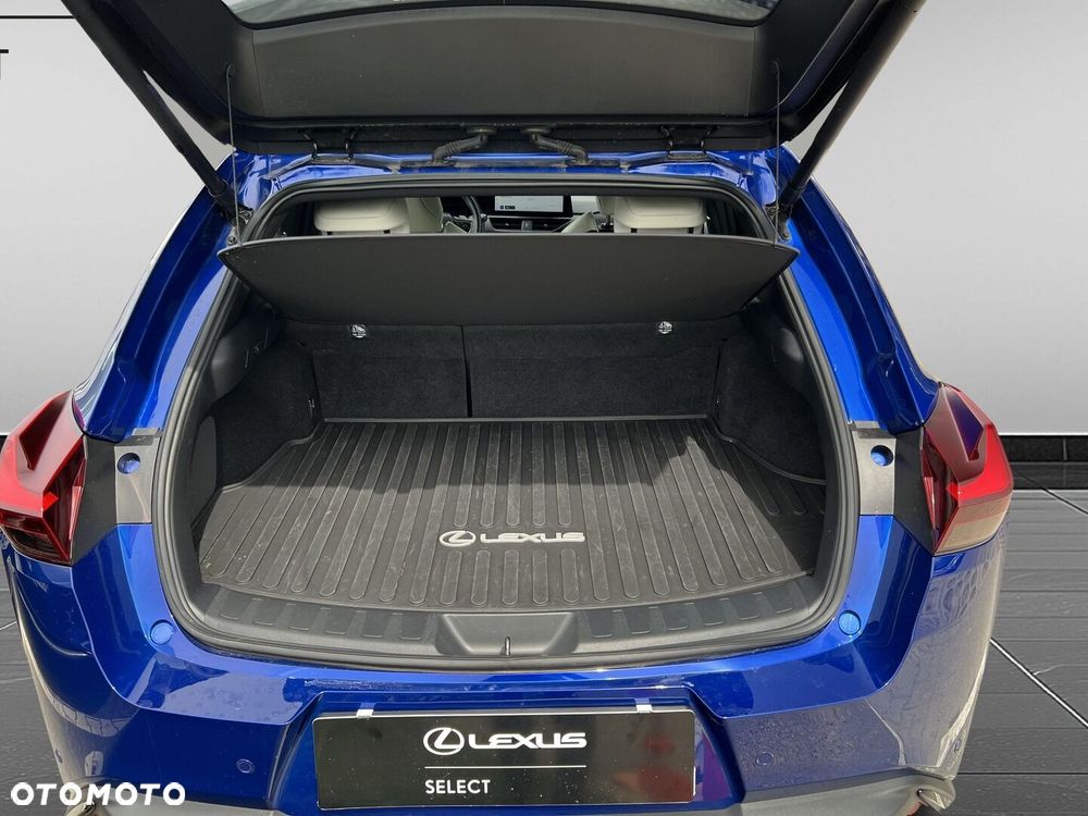Lexus UX 300h F Sport - 20