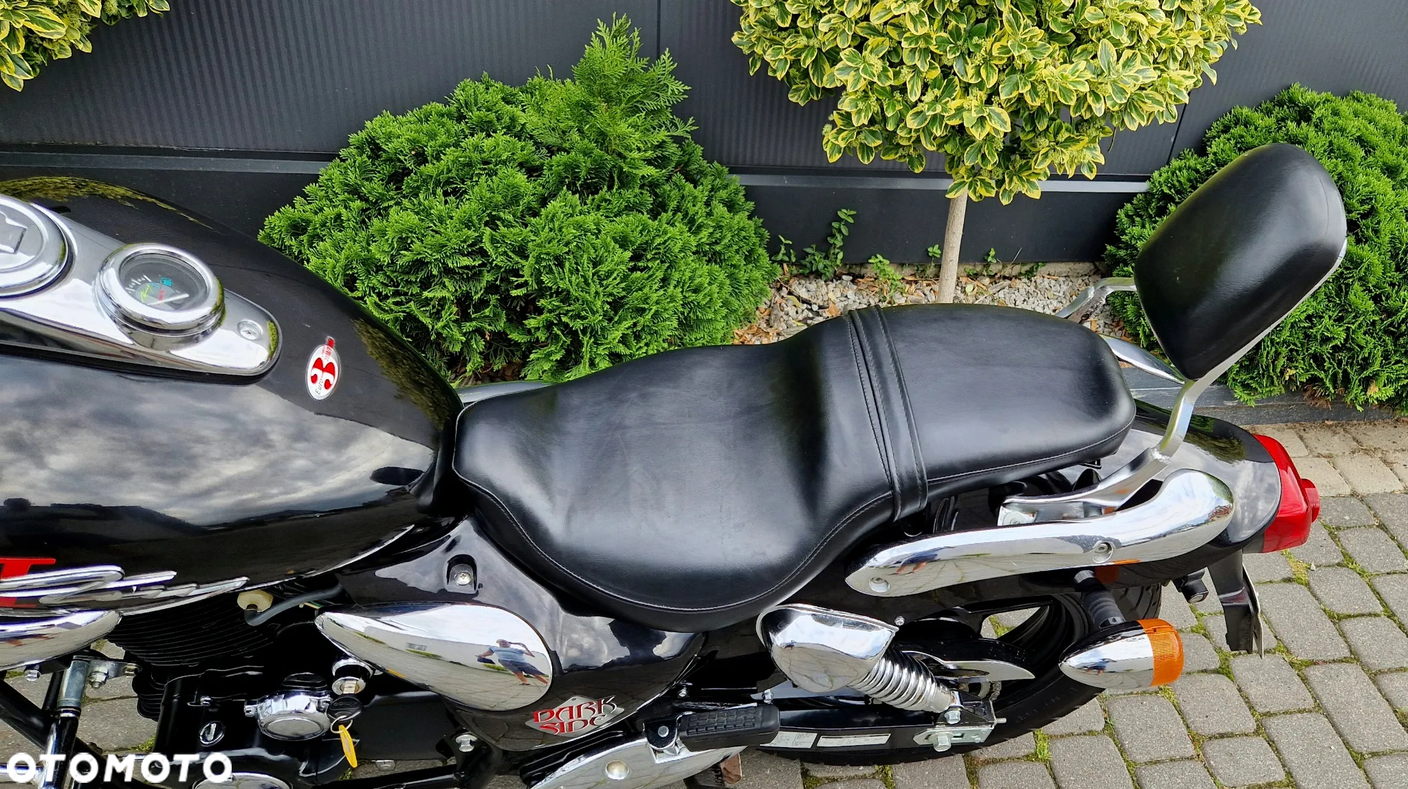 Kymco Zing - 33