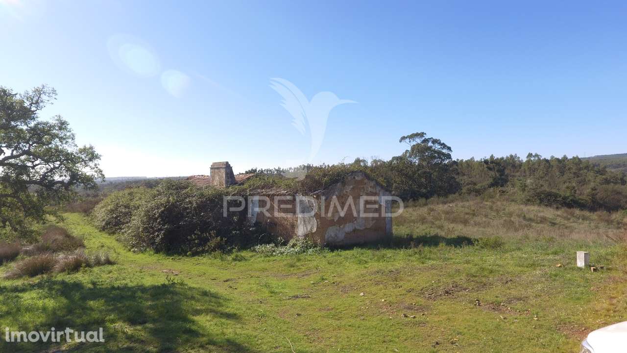 Herdade com 71 hectares e ruína de 174m2 - Grande imagem: 3/21