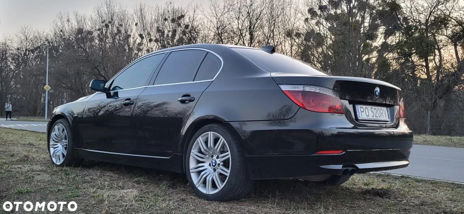 BMW Seria 5 520d - 6