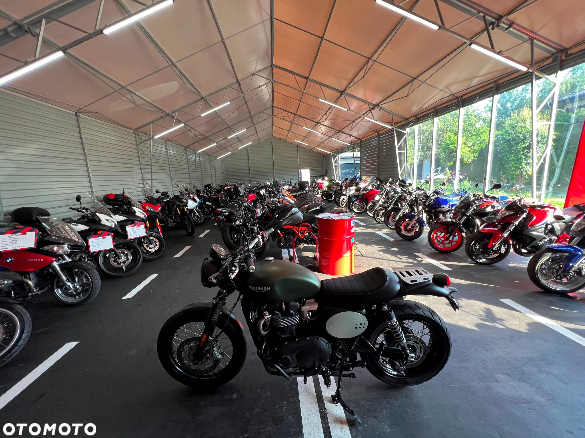 Triumph Scrambler - 14
