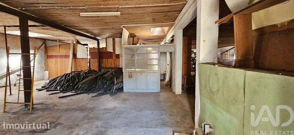 Loja / Estabelecimento Comercial em Minde de 1244,00 m2 - Grande imagem: 4/18
