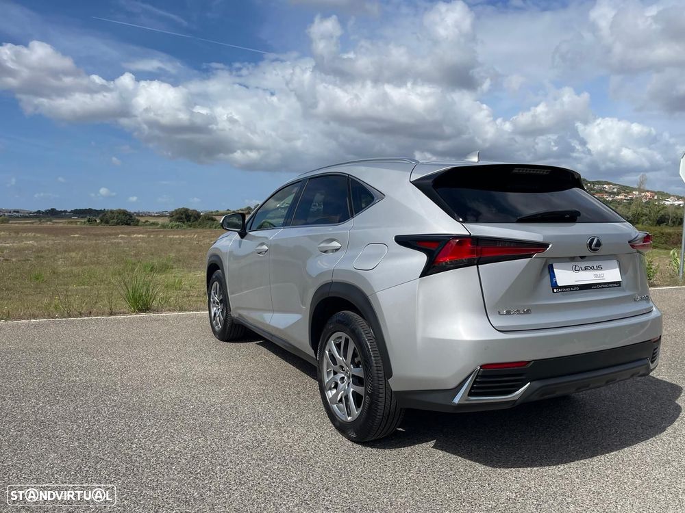 Lexus NX 300h Executive+ - 7