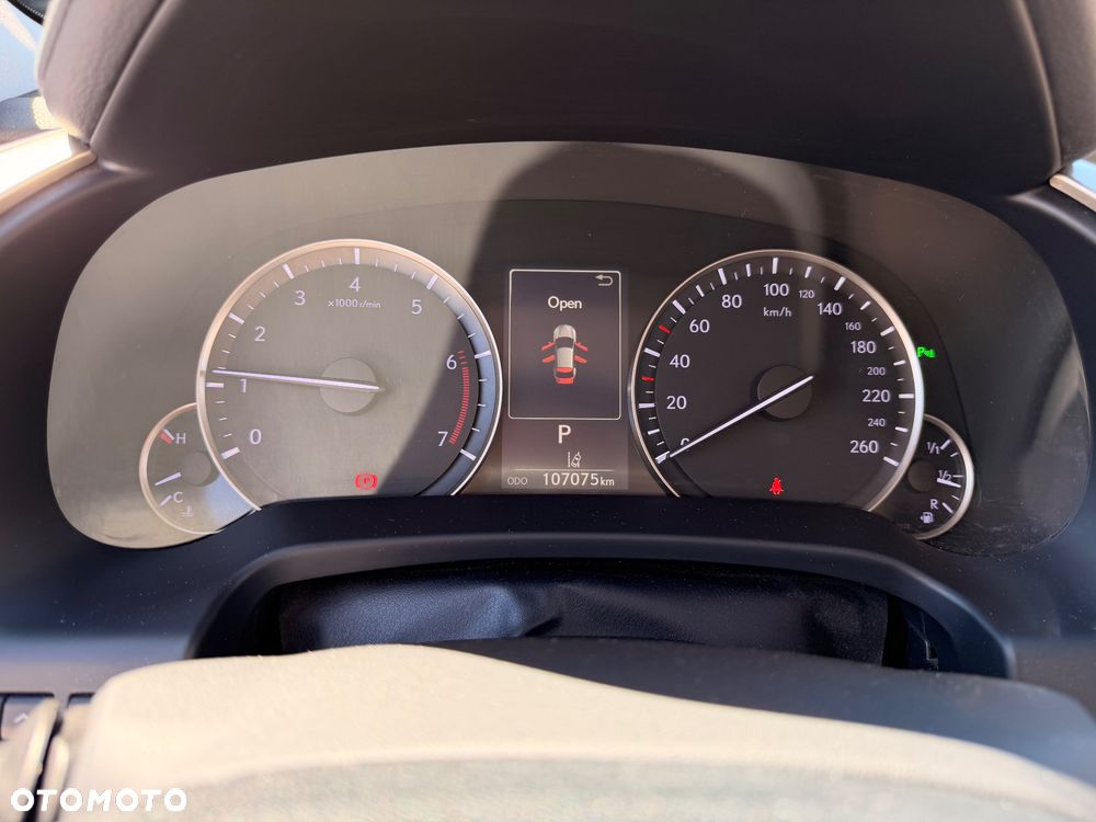 Lexus RX 200t / 300 Elegance - 31