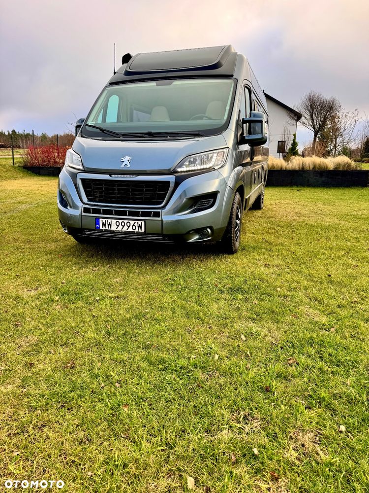 McLOUIS Prestige - 3