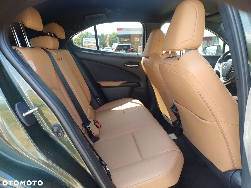 Lexus UX 250h GPF F Sport Design 2WD - 12