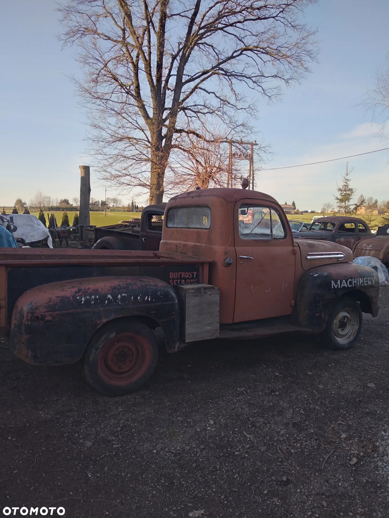 Ford Inny - 5