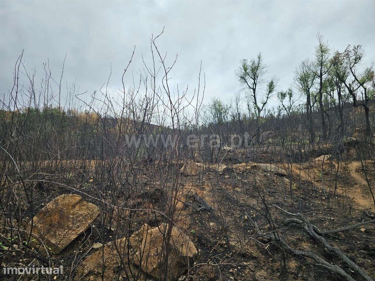 Terreno / Fundão, Telhado - Grande imagem: 4/12