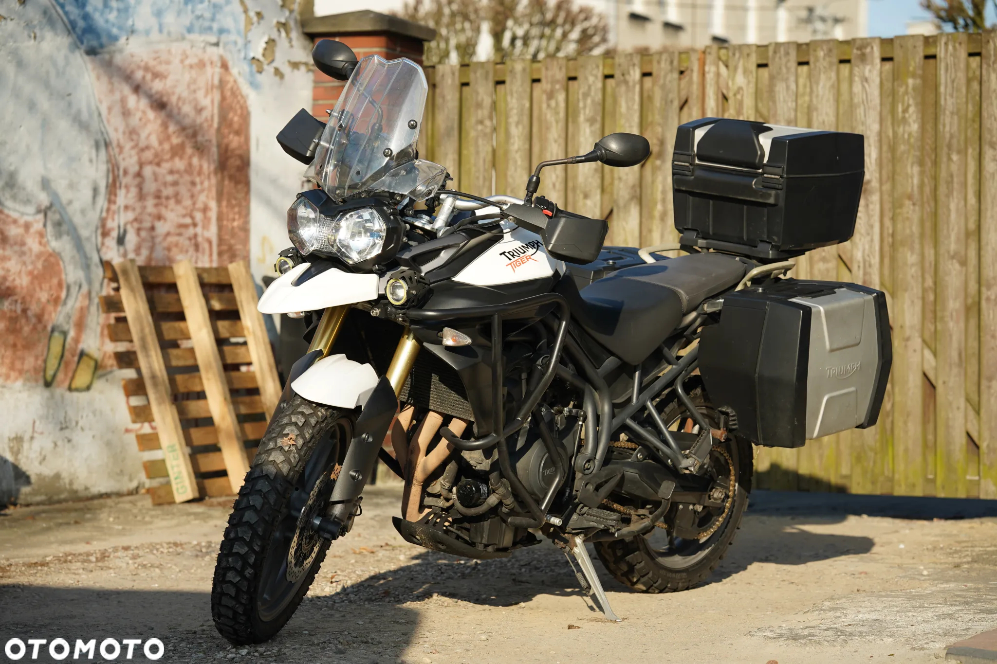 Triumph Tiger - 25