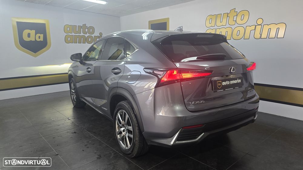 Lexus NX 300h Executive+ - 13