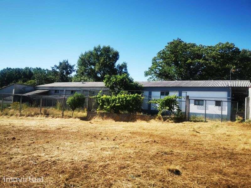 Armazém com 419 m² e Terreno de 2.856 m² | Donai, Lagomar– Bragança - Grande imagem: 3/8